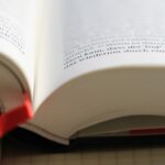 The Marriage Portrait